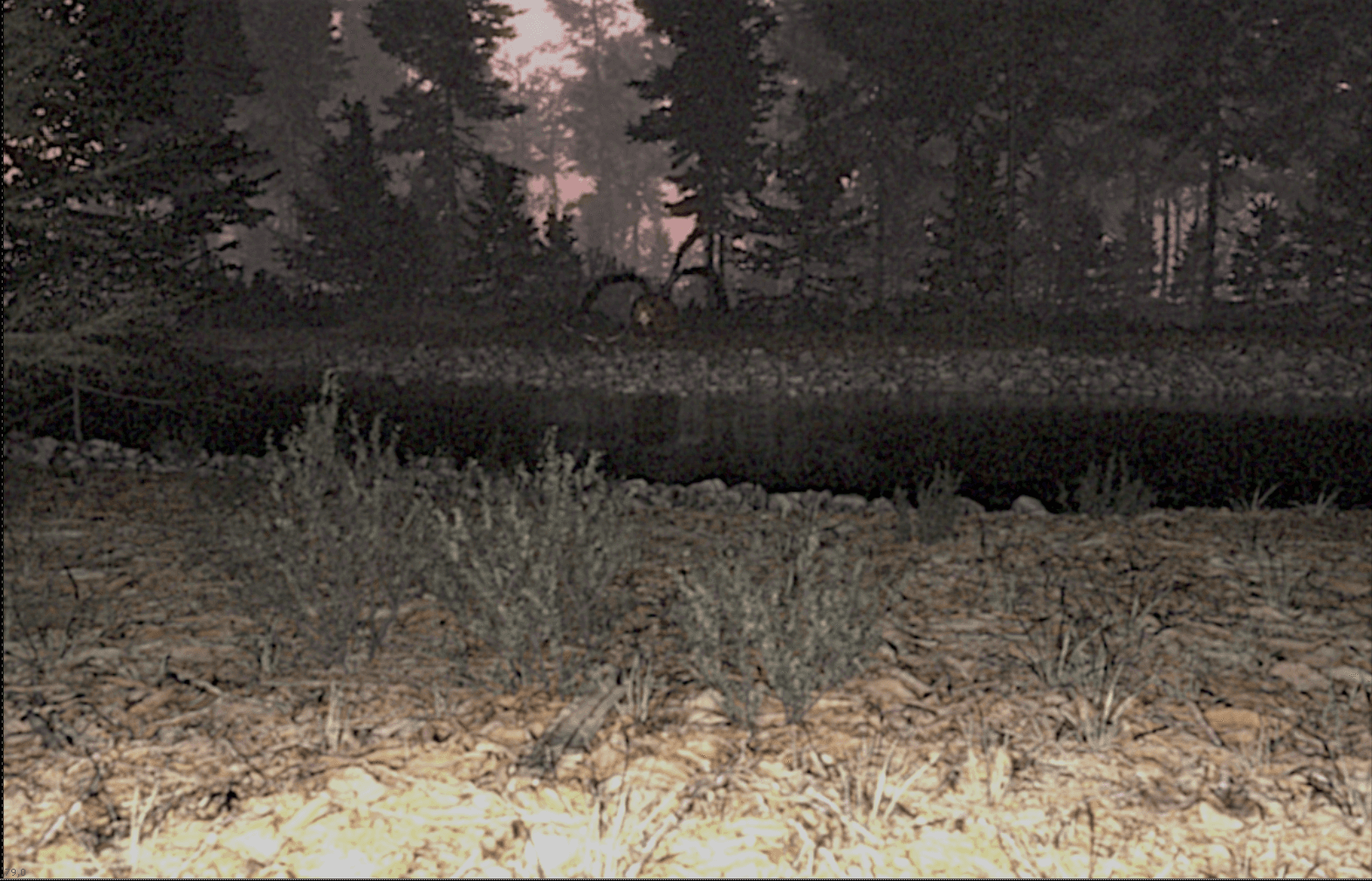 Bear Horror — Shot 02