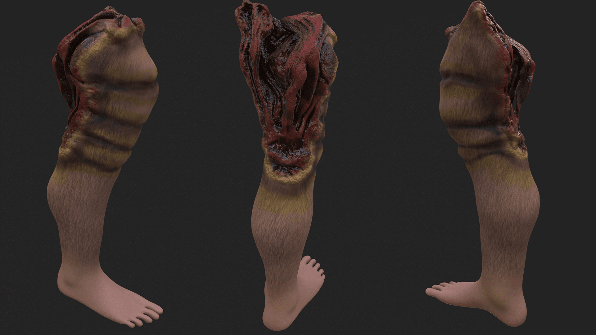 Leg Model & Textures